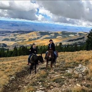 Meet your Posher, Carrie ann